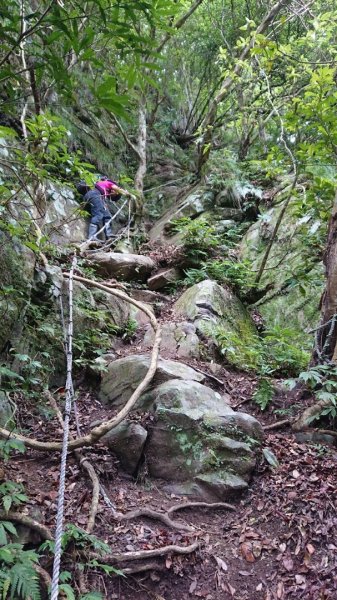 組合山連走滿月圓山O走1044574