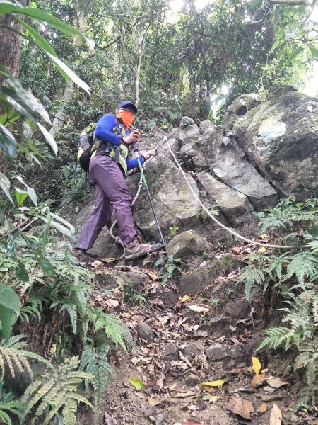 2019 10 29 三腳南山登山步道717747