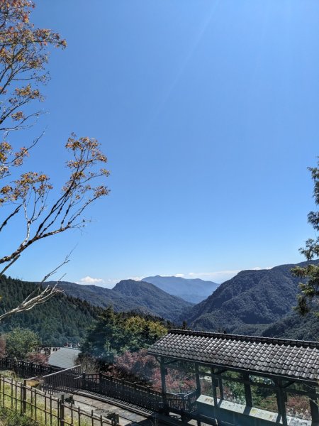 太平山國家森林遊樂區-蹦蹦車3137090