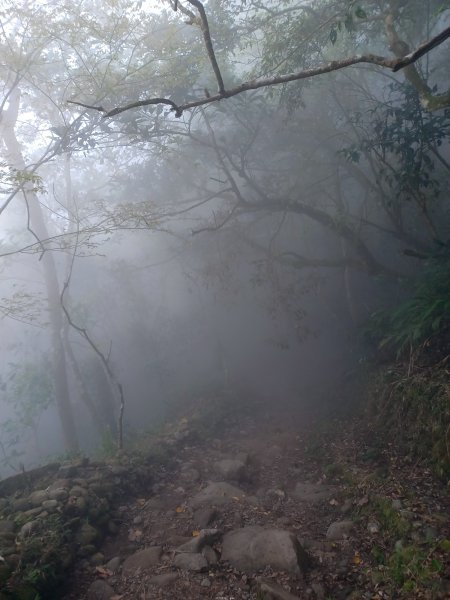 【台南白河】雞籠山+九龍山+大凍山O繞縱走2797166