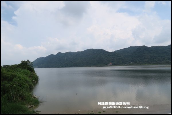 大溪左岸自行車道｜中新里韭菜花海超浪漫｜1101572