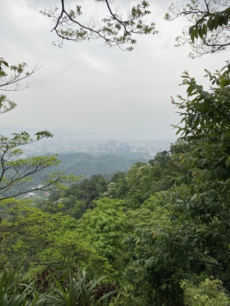 20200411 土城四秀環走山中湖封面