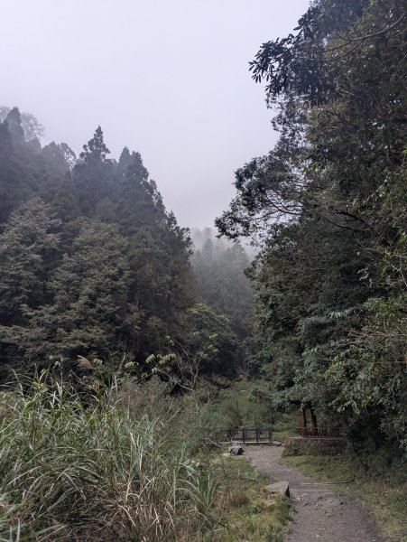2026.02.14－特富野古道3013740