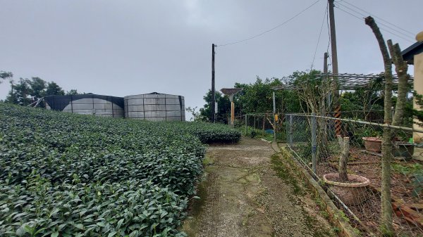 雲嘉九連峰1438992