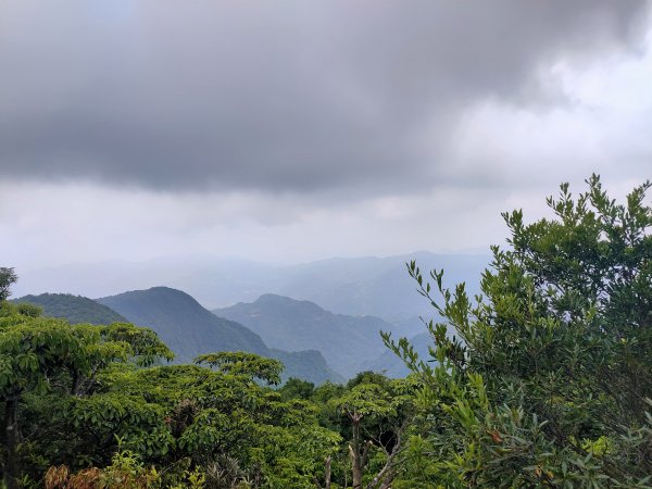 東眼山(小百岳022 H1212M)2021-05-071471816