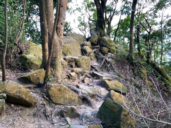 五寮尖上大風狂448910