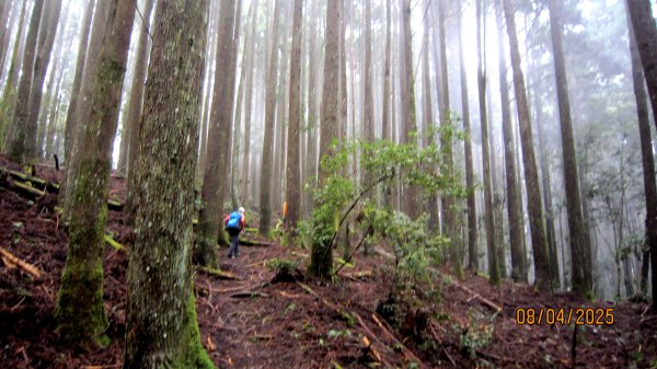 【油羅山/露營】 仙境舒活健走，雲端徜徉野趣！2887926