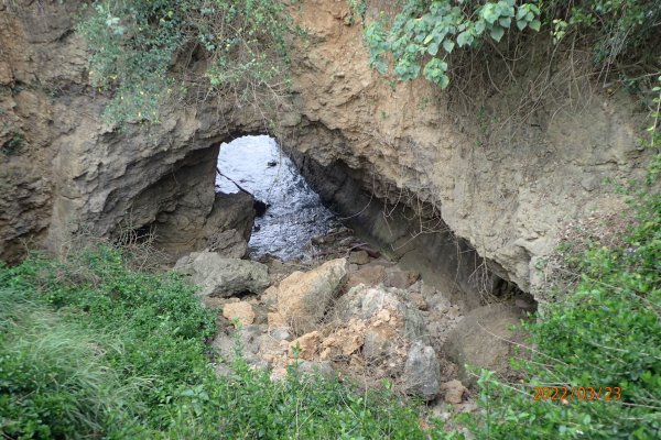 【新聞】323花東大地震壽山無恙 海蝕洞為岩塊崩落潛勢地區