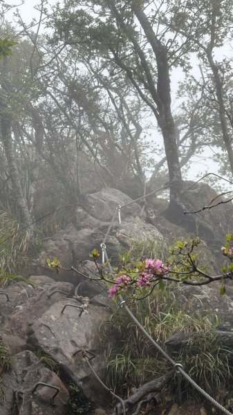 加里山3042806