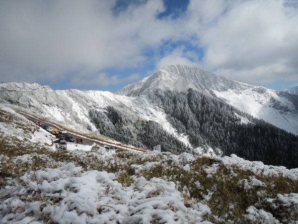 合歡山也有藏王樹冰的雪景510336