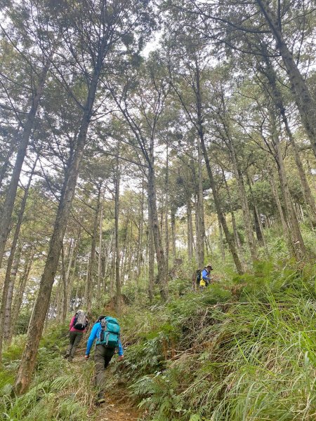 12年後重逢北三錐山    2021/11/201523544