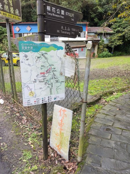 微笑山線：【天上山系】望月亭桐花段3001582