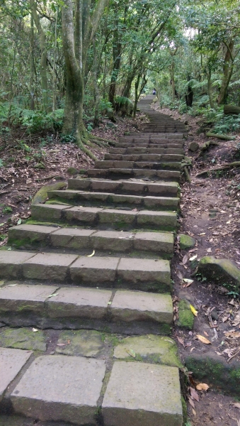 七星山東峰與主峰52467