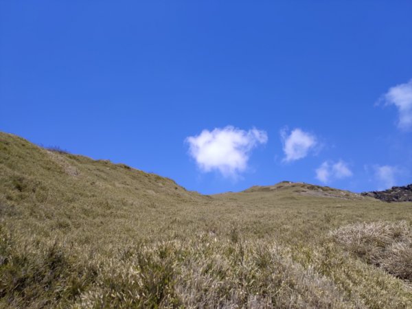 合歡山主峰1319128