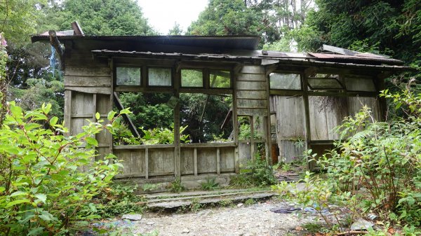 雙龍林道上巒安堂西巒大山1778736