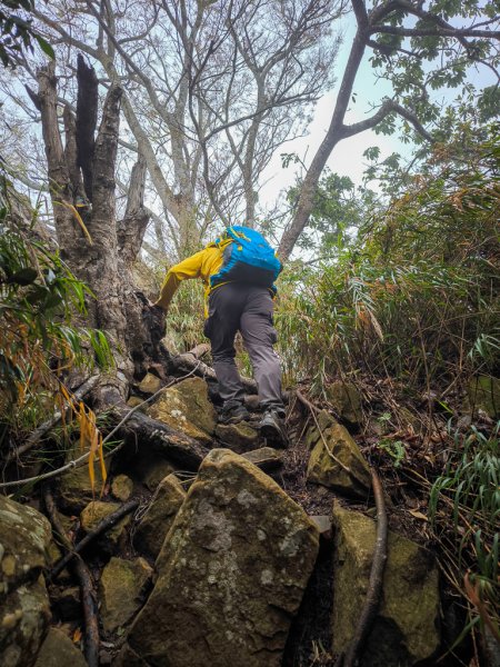 2025-03-08 汶水三山：金童山、汶水山、玉女山 連走2736526