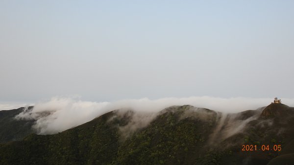 0405陽明山再見雲瀑，今年以來最滿意的一次1335466