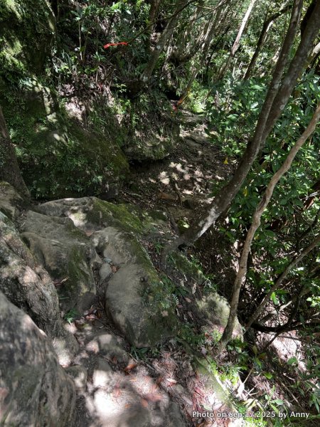 微笑山線【五分山系】菁桐煤礦段＋平溪小黃山段2906711