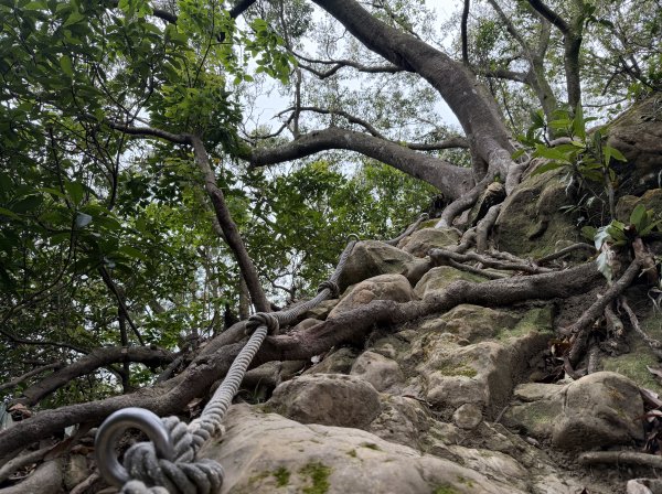 [微笑山線_第四段] 2026_0321 天上山系_十八羅漢岩3022125