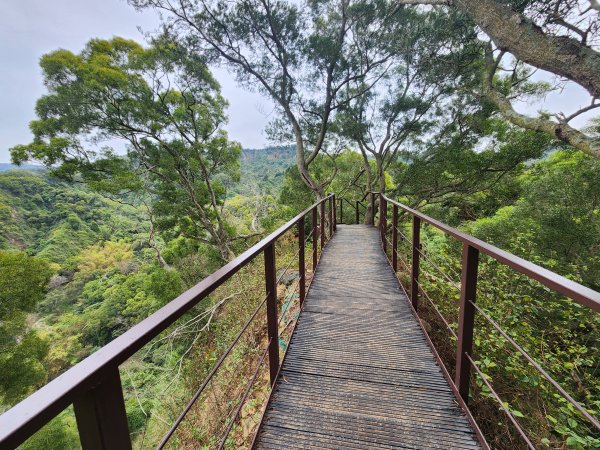 20250223田中大小劍與橫山2939823