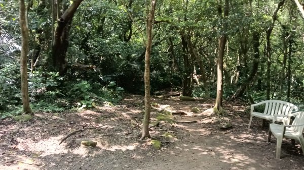 基隆市海興森林步道-情人塔-老鷹岩-情人湖登山步道O型3092720