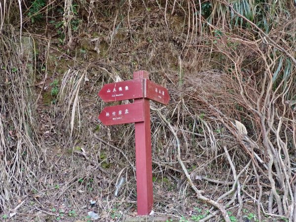 集集大山慢活行（孟宗竹林登山口）1627431