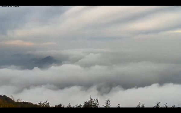 阿里山雲瀑&雲海/富士山直播即時視訊833454