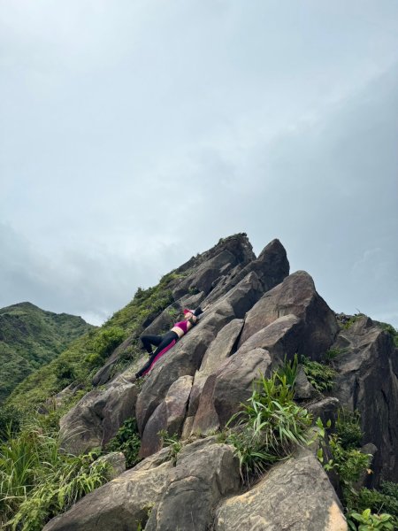 南子吝步道->  劍龍稜平台 ~  猶如台灣大山般的視野2576562