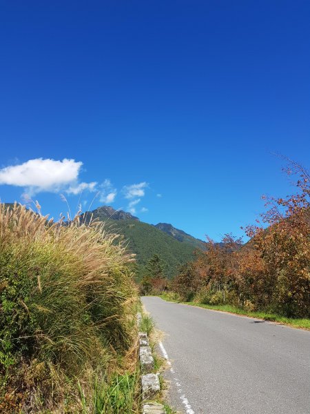 秋色的武陵463389