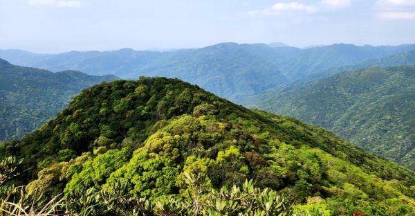 【中級山縱走】志繼山，東眼山，拉卡山，卡外山，東滿步道2742572
