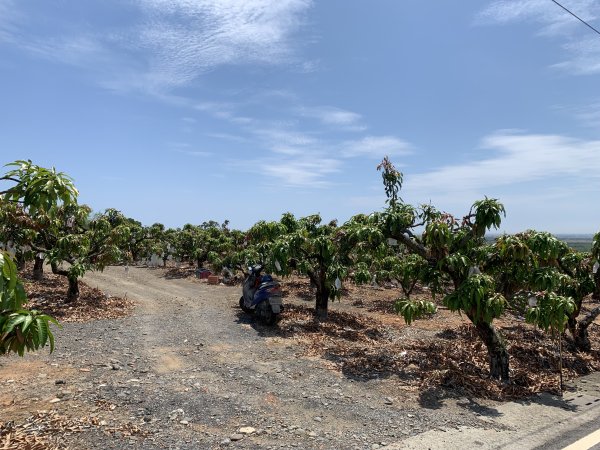 20250503屏東埔姜山2781502