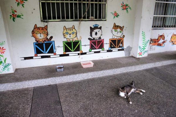 平溪  望古瀑布步道  猴硐貓村 運煤遺址。搭火車去旅行  最小的火車站 被人們忽略的秘境 望古瀑布2186140