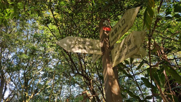 20251216太平山石門山小粗坑山O型+蕃薯藤TINA廚房2972576