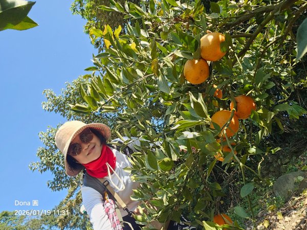 20260119飛沙縱走東段加碼9連峰大O走2988930