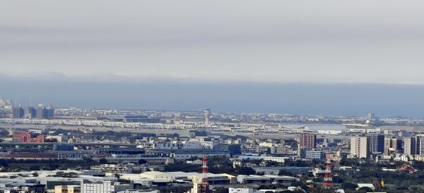 2026/01/25-五酒桶山、山鼻山步道2988089