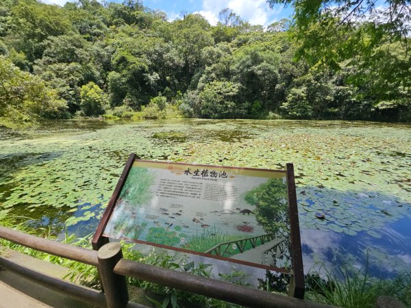 福山植物園 - (宜蘭)臺灣百大必訪步道2557618