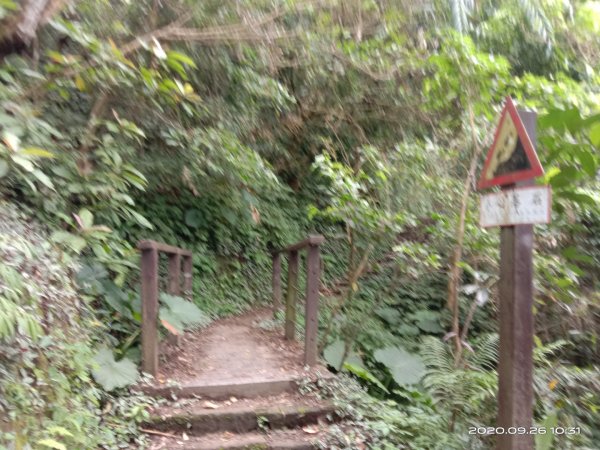 步道巡訪員 l 崁頭山步道巡訪員9月份巡禮1111130