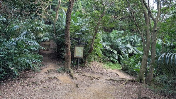 114.11.22鳶山彩碧-鳶山-鳶尾山之旅2943525