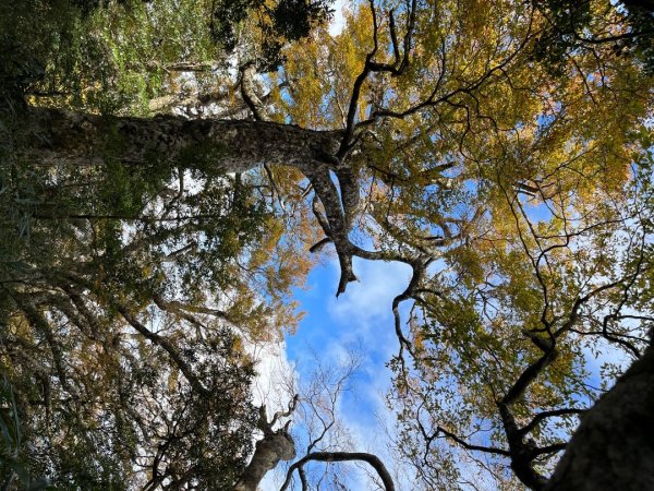 20221112_北得拉曼山2762255