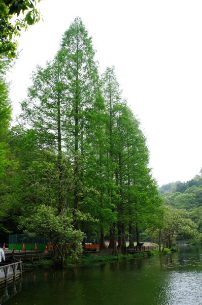 新北 烏來 志良久山3035174