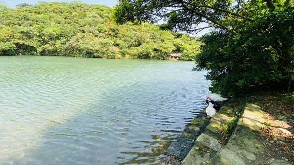[台北基隆]情人湖公園|浪漫情人吊橋|浪漫法式料理野餐|湖光山色無敵海景輕鬆走走一次通通有1439977