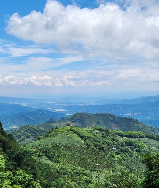 【中級山縱走】雲嘉八連峰（後棟仔山，大尖山，二尖山，馬鞍山，梨子腳山，太平山，大巃頂山及其西北峰）2821114