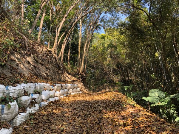 台南市東山區林安森林步道、插旗嶺圖根點1268560