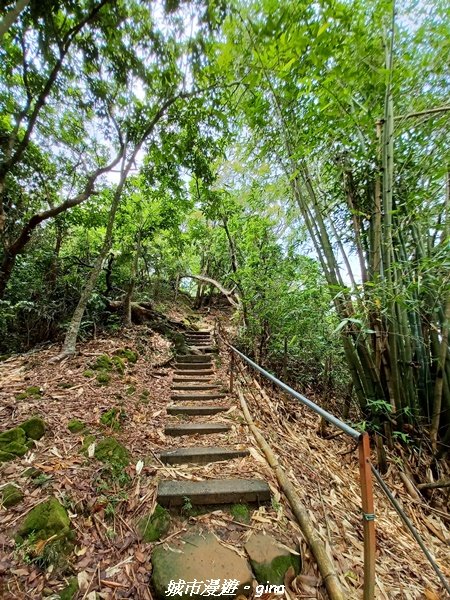 【台中北屯】走步道洗塵心。 No42小百岳南觀音山x青春嶺2196467