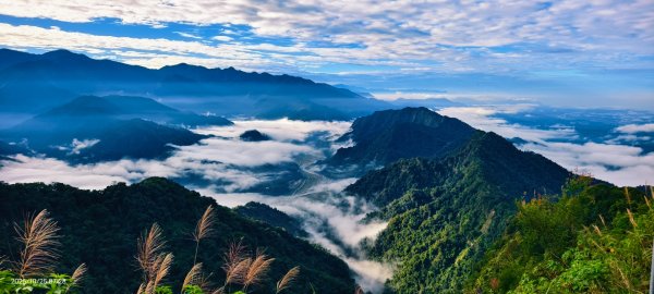 #馬那邦山 #琉璃光 #日出 #雲海 #山羌 #楓葉 10/25 & 11/12924610