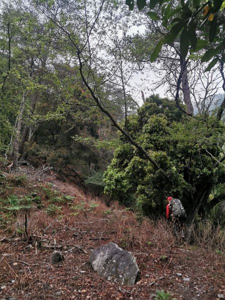 南三段縱走-百里長征在雲端-丹大東郡橫斷909482