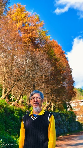 #花卉試驗中心 #永公路500巷 #平菁街42巷 #原住民公園 #士林官邸 1/42976618