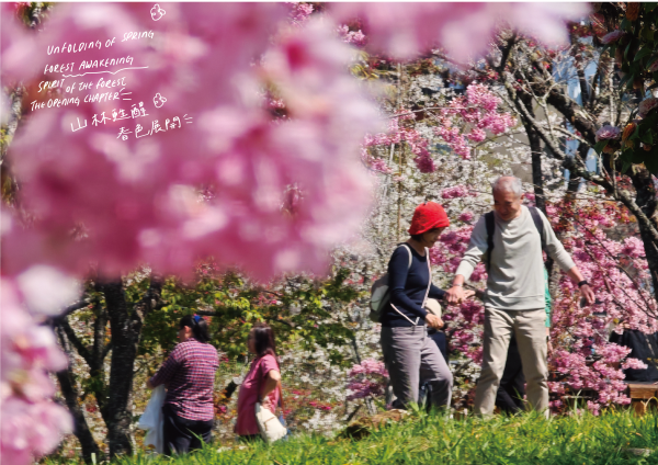 【活動】2026 阿里山風格季 春櫻、神獸、面具派對，開啟奇幻風格森旅