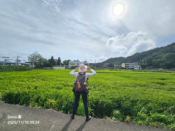 20251110竹北文山步道＆犁頭山稜線步道賞高鐵+大墩山柿園2934043