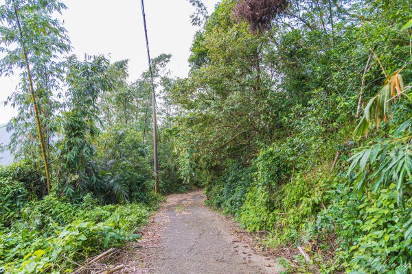 [台南]崁頭山2848472